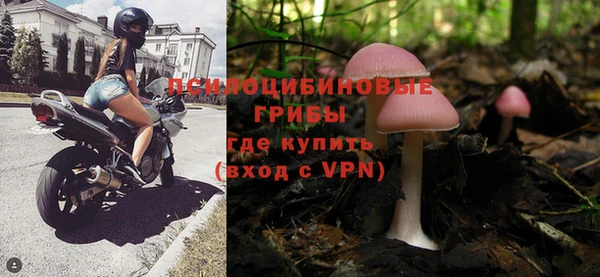 дурь Богородск
