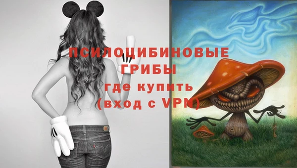дурь Богородск