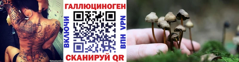 hydra ТОР  Кохма  Псилоцибиновые грибы Cubensis 